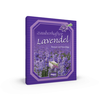 Zauberhafter Lavendel – Rezepte und Ratschläge
